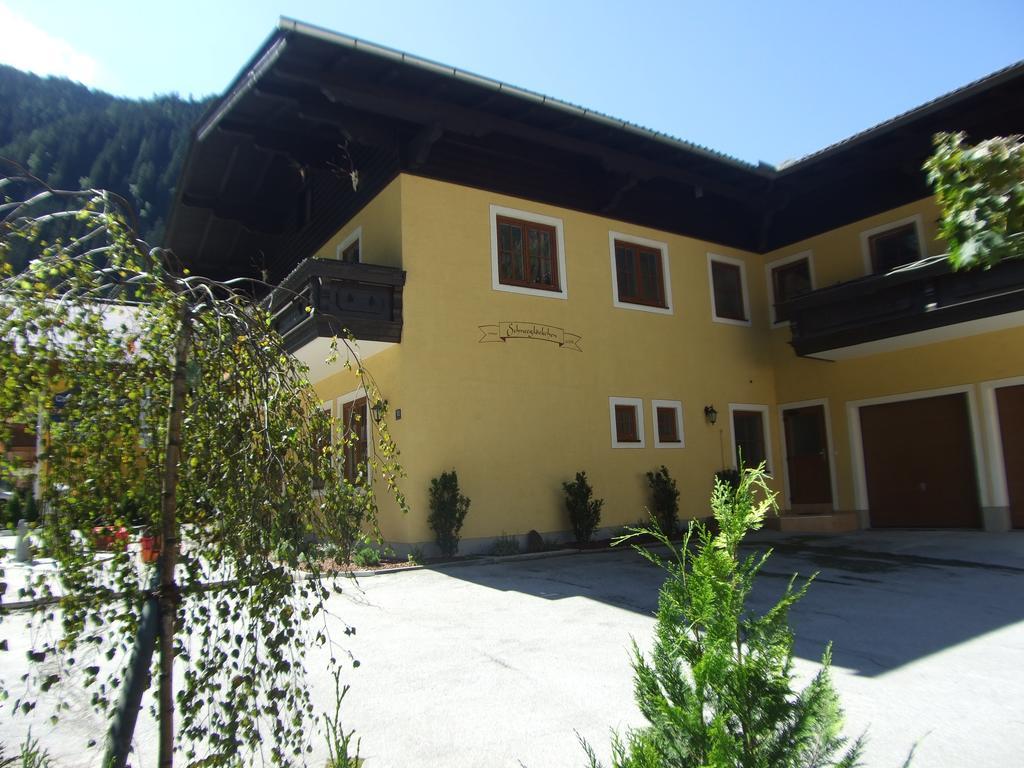Appartement Schneegloeckchen Bad Gastein Bagian luar foto